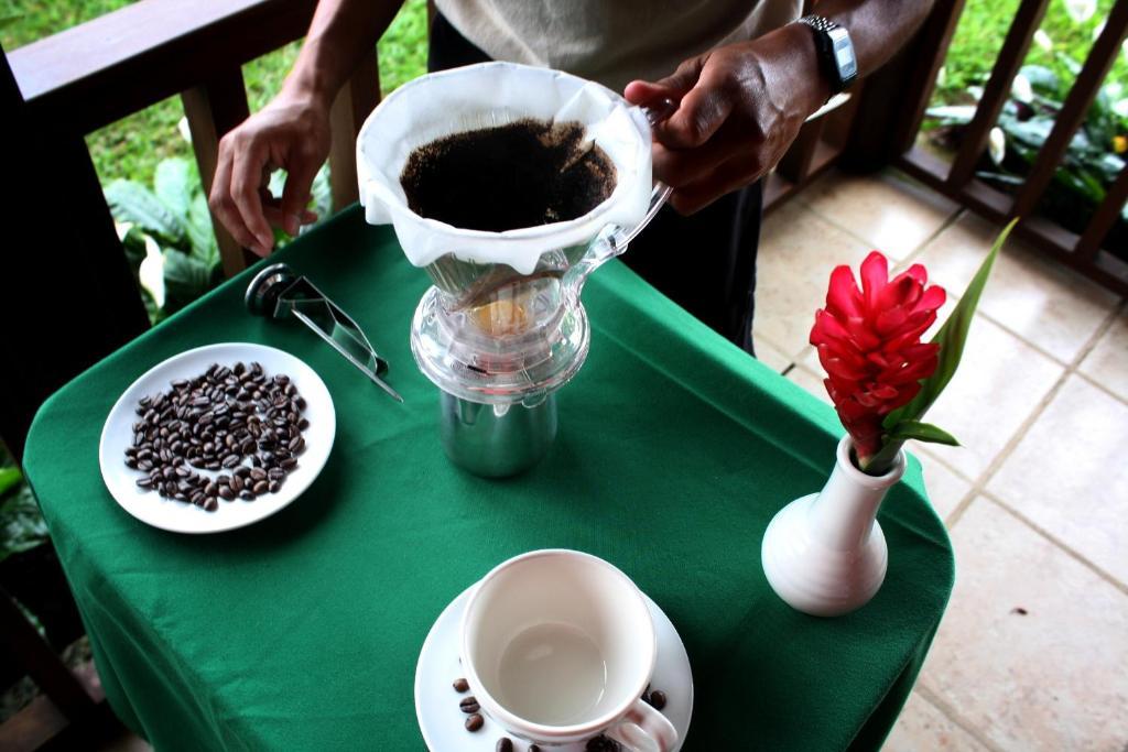 Finca Hamburgo La Ruta Del Cafe Tuzantan Exteriér fotografie
